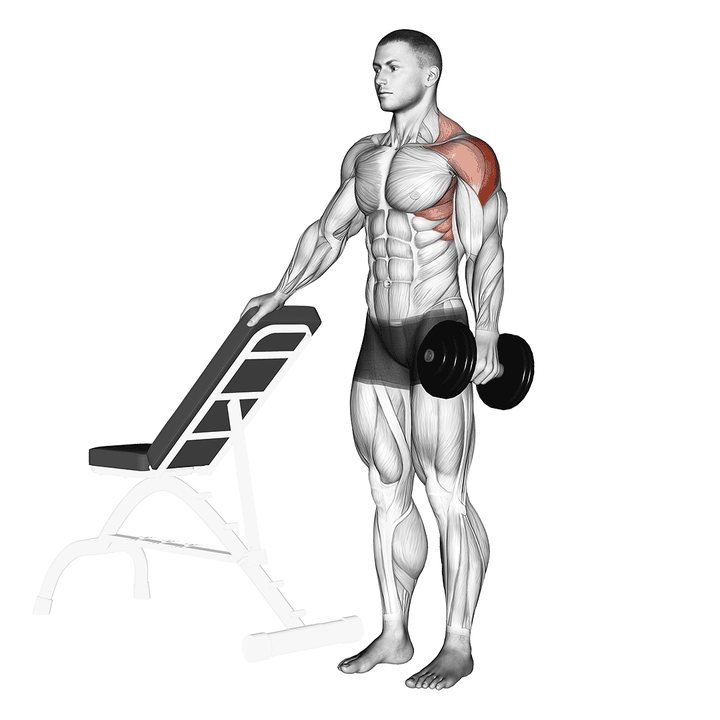 Demonstration of the dumbbell one arm lateral raise with support