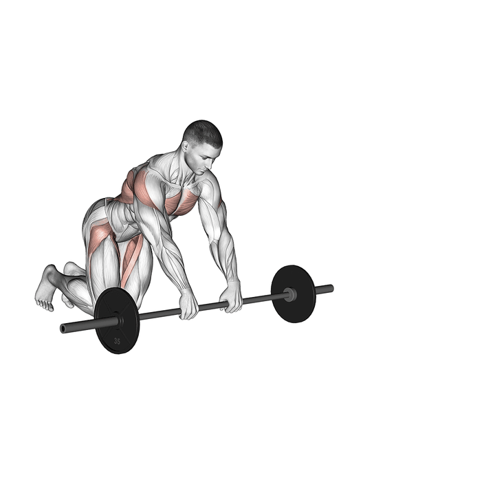 Demonstration of the barbell rollerout
