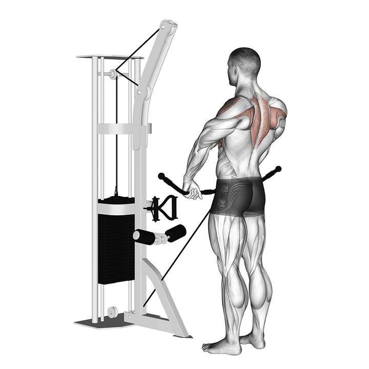 Demonstration of the gentle cable upright row