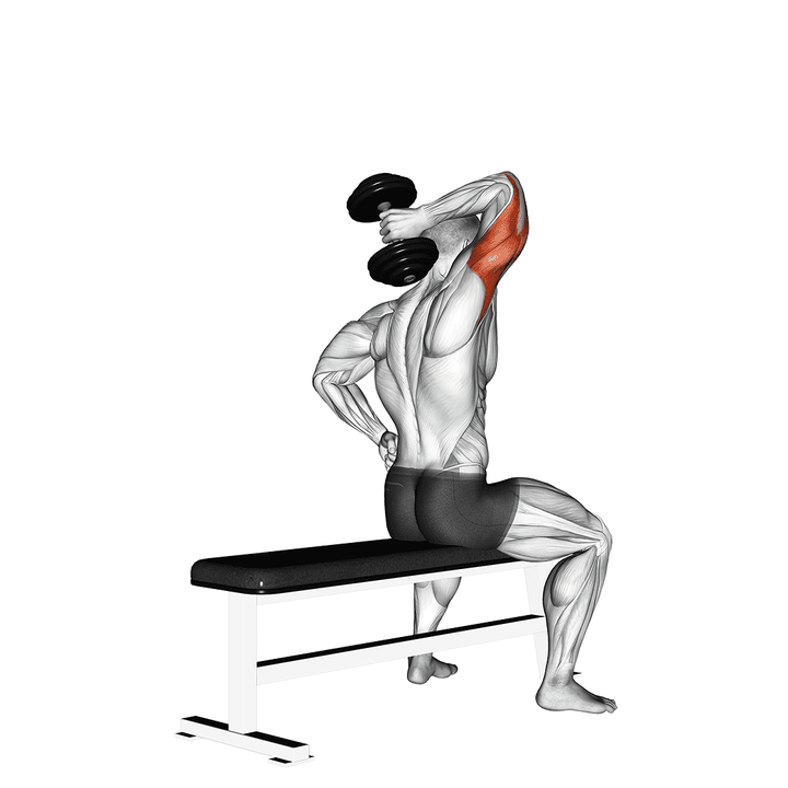 Demonstration of the dumbbell one arm triceps extension (on bench)