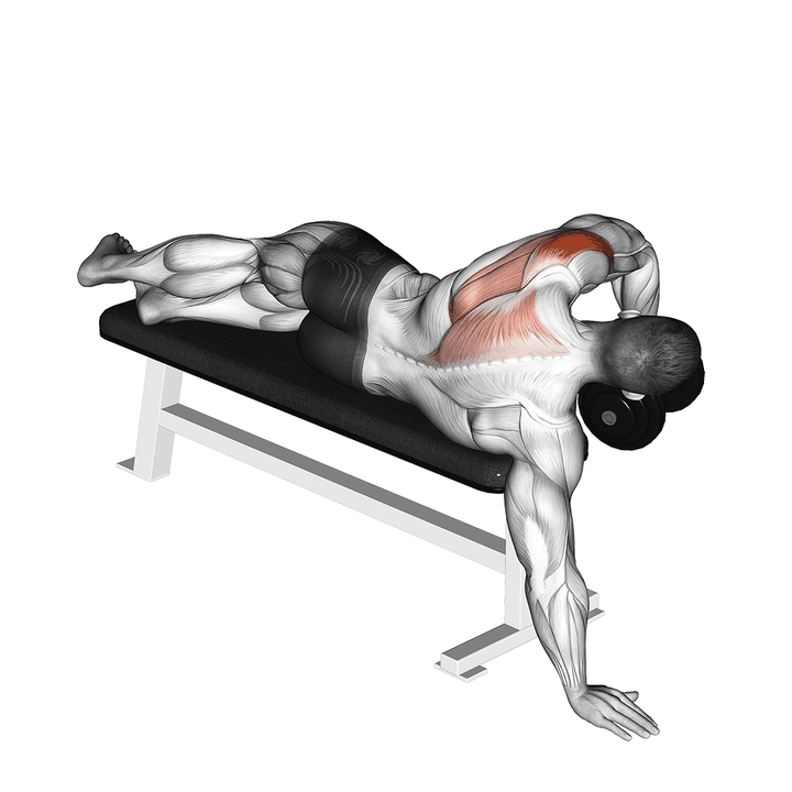 Demonstration of the dumbbell lying one arm deltoid rear