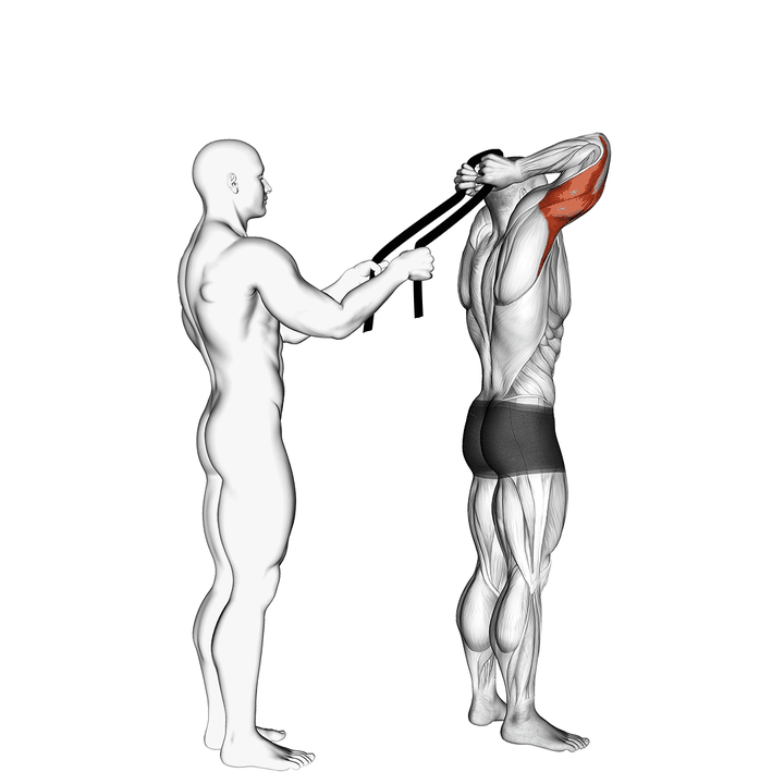 Demonstration of the assisted standing triceps extension (with towel)
