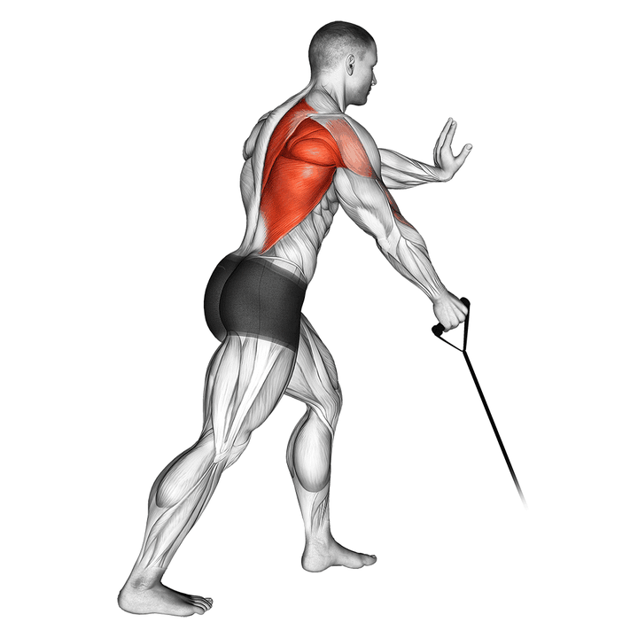 Demonstration of the band one arm standing low row