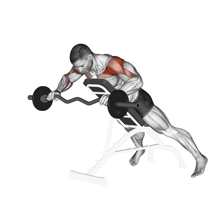 Demonstration of the ez barbell anti gravity press