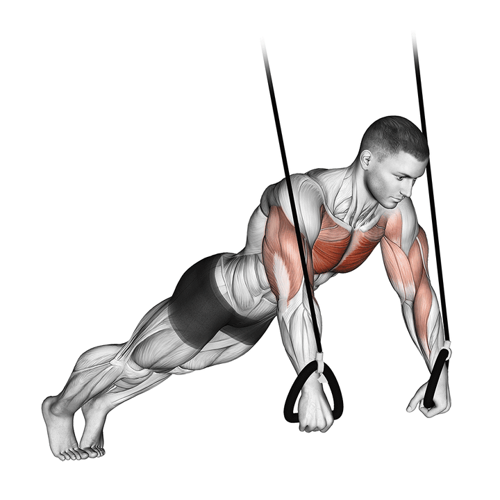 Demonstration of the suspended push-up