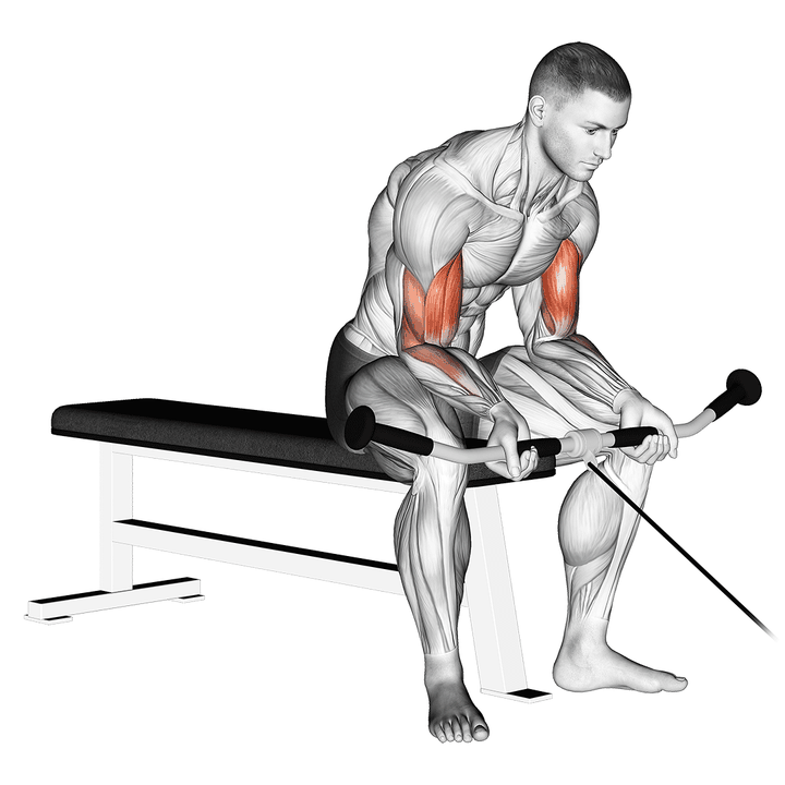 Demonstration of the cable seated curl