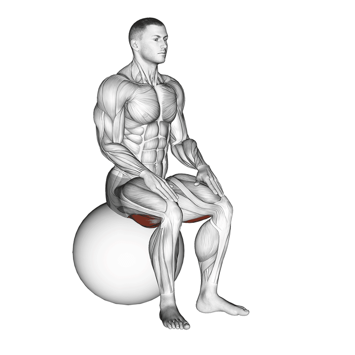 Demonstration of the exercise ball seated hamstring stretch