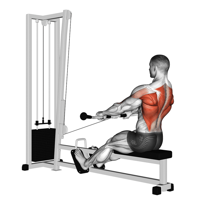 Demonstration of the cable low seated row