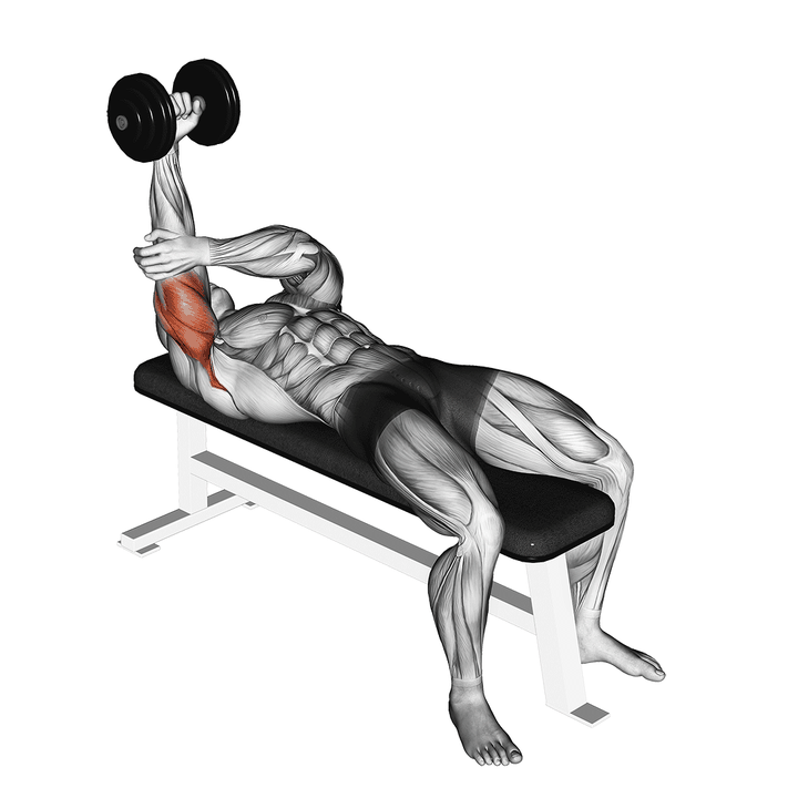 Demonstration of the dumbbell lying one arm pronated triceps extension