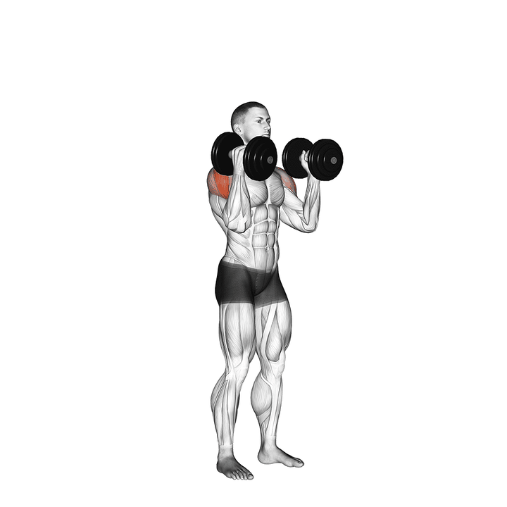 Demonstration of the dumbbell w-press