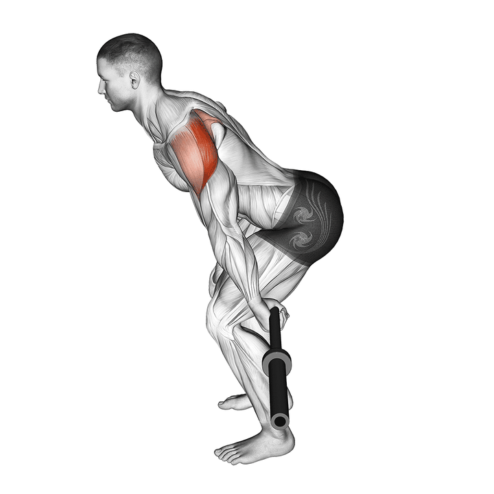 Demonstration of the barbell skier