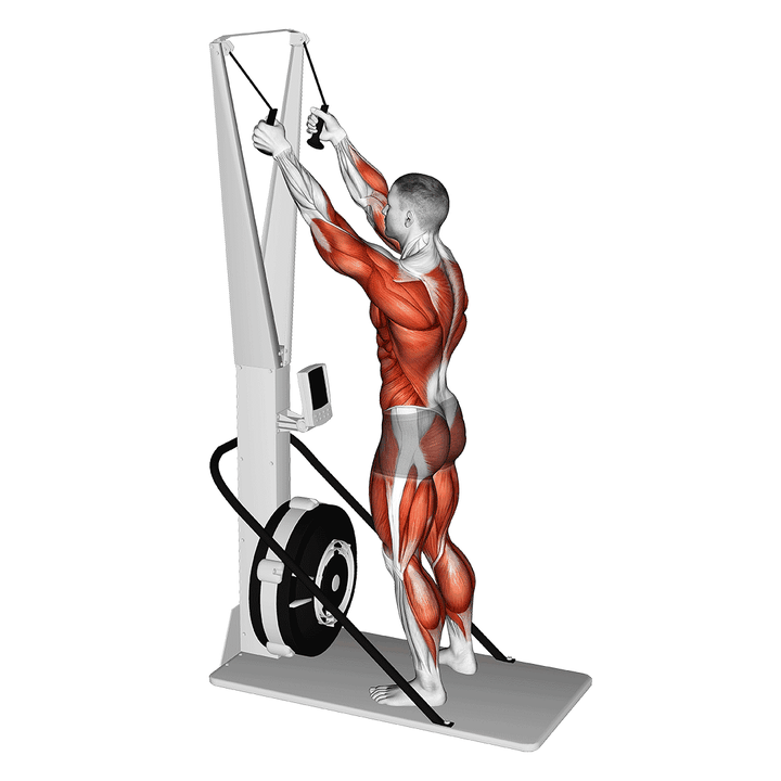Demonstration of the ski ergometer