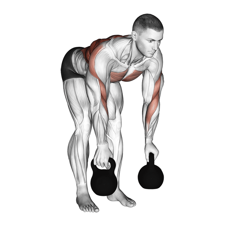 Demonstration of the kettlebell two arm row - total variation