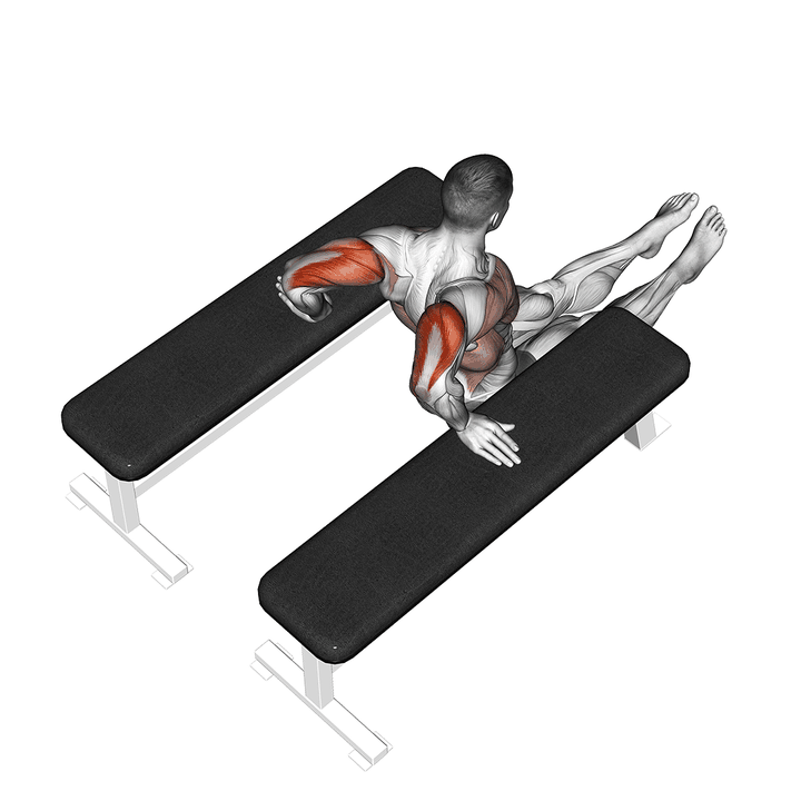 Demonstration of the triceps dip (between benches)