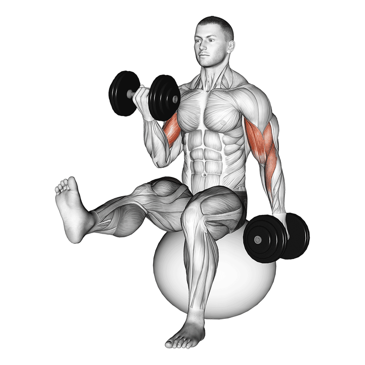 Demonstration of the dumbbell alternating bicep curl with leg raised on exercise ball