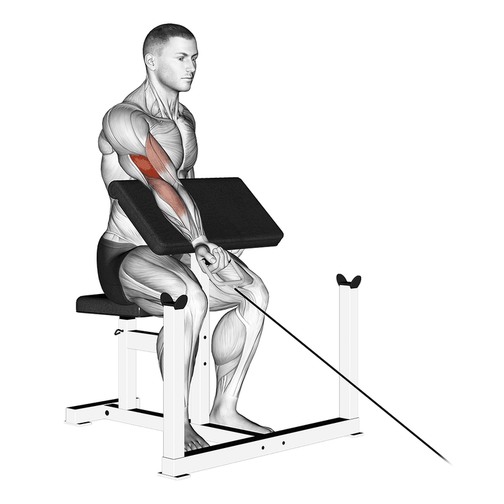 Demonstration of the cable one arm preacher curl