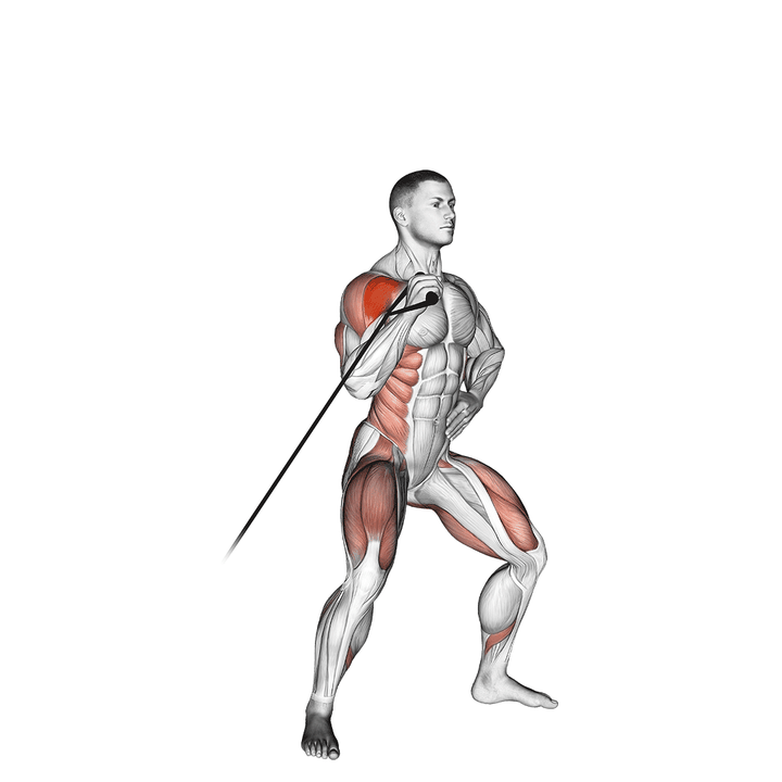 Demonstration of the band twisting overhead press