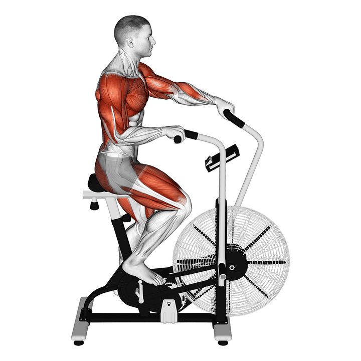 Demonstration of the cycle cross trainer
