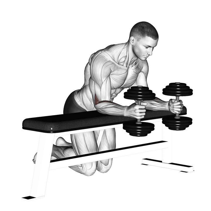 Demonstration of the improved dumbbell over bench neutral wrist curl