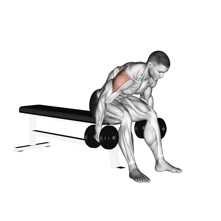 Demonstration of the dumbbell rear fly