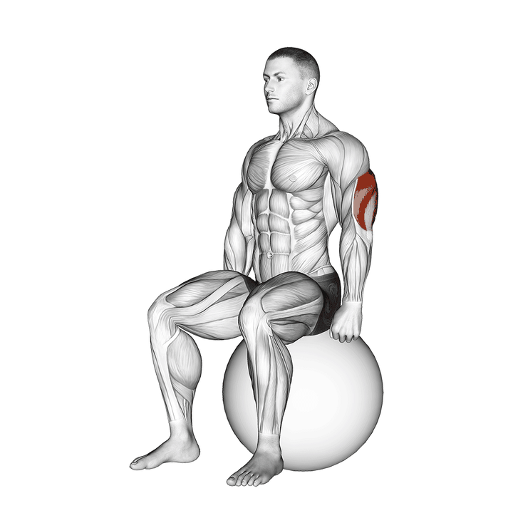 Demonstration of the exercise ball seated triceps stretch