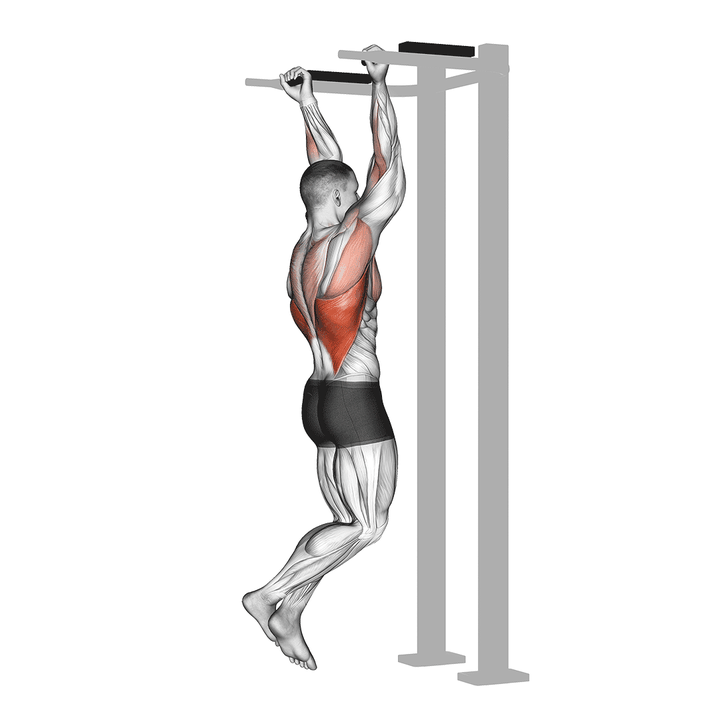 Demonstration of the reverse grip pull-up