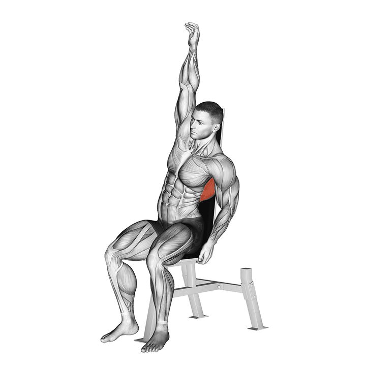 Demonstration of the seated lower back stretch