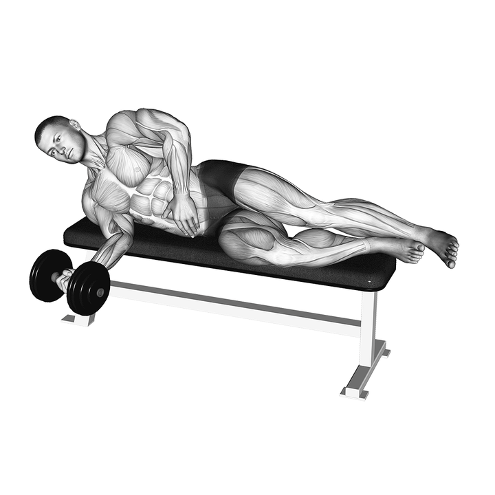 Demonstration of the dumbbell lying pronation