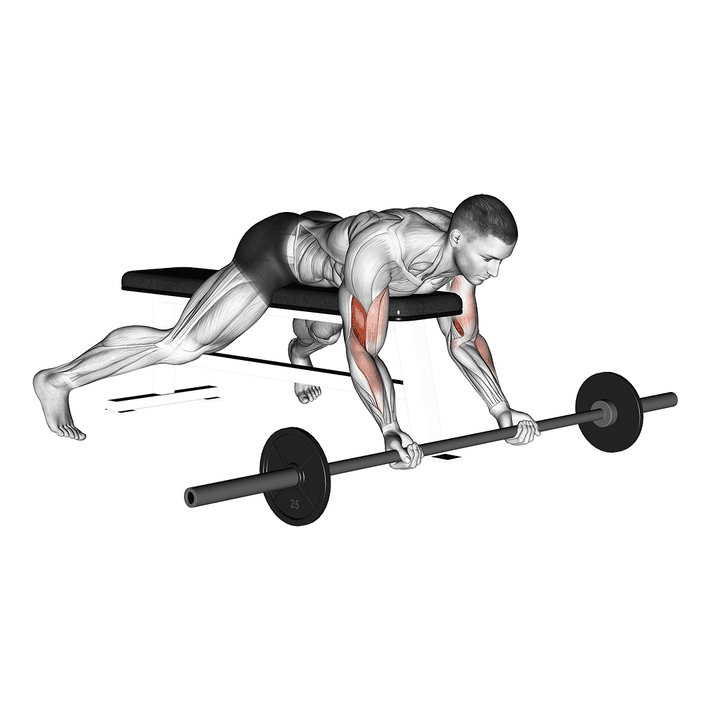 Demonstration of the barbell lying preacher curl