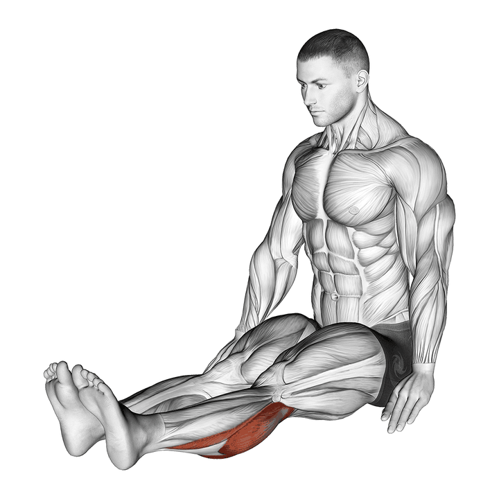Demonstration of the seated calf stretch (male) beginner