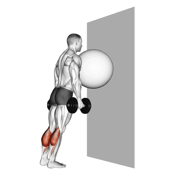 Demonstration of the exercise ball on the wall calf raise