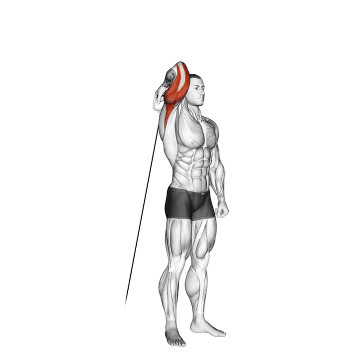 Demonstration of the cable standing reverse grip one arm overhead tricep extension