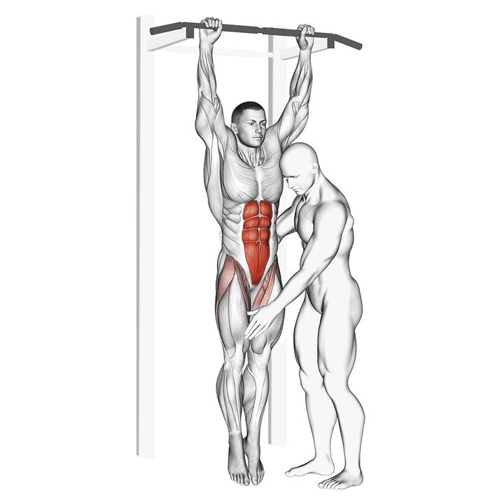 Demonstration of the assisted hanging knee raise