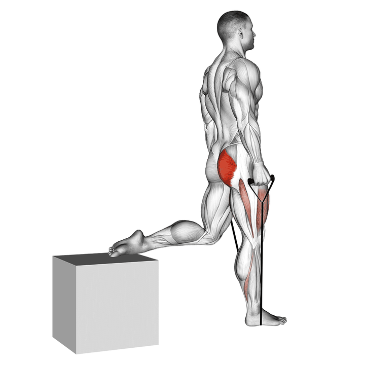 Demonstration of the band single leg split squat