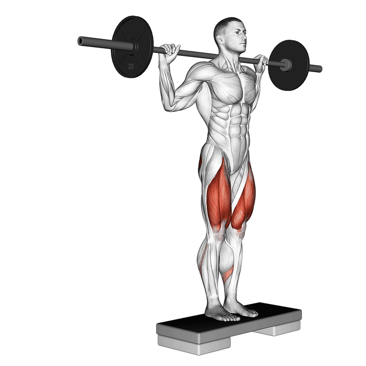 Demonstration of the barbell rear lunge