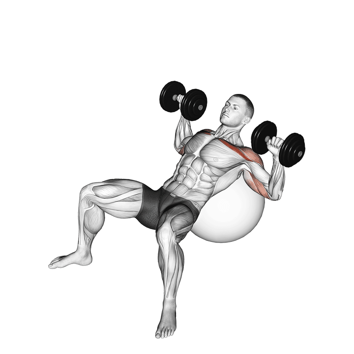 Demonstration of the dumbbell incline press on exercise ball