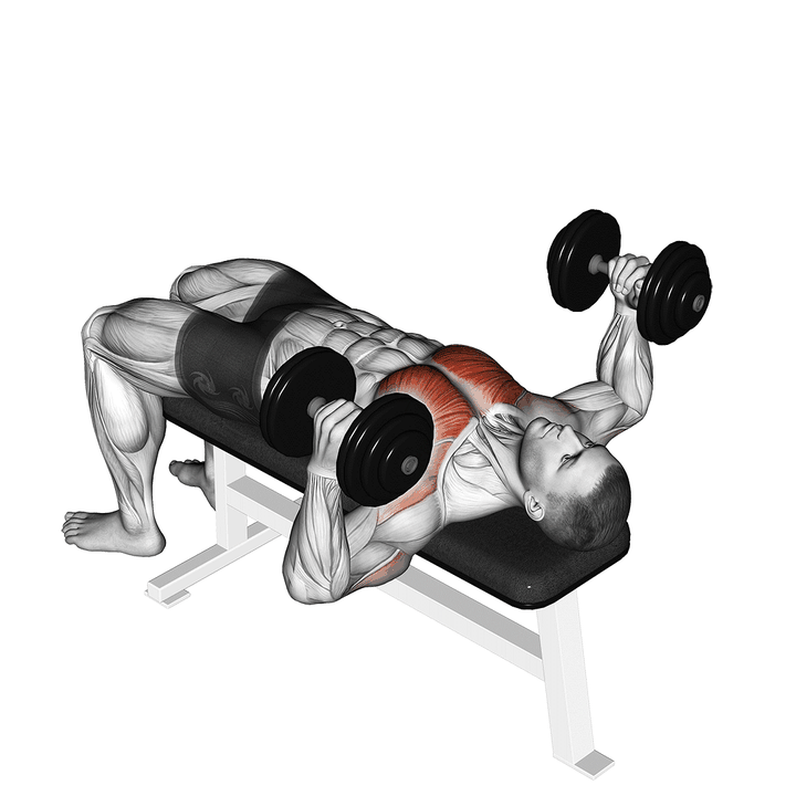Demonstration of the dumbbell lying hammer press