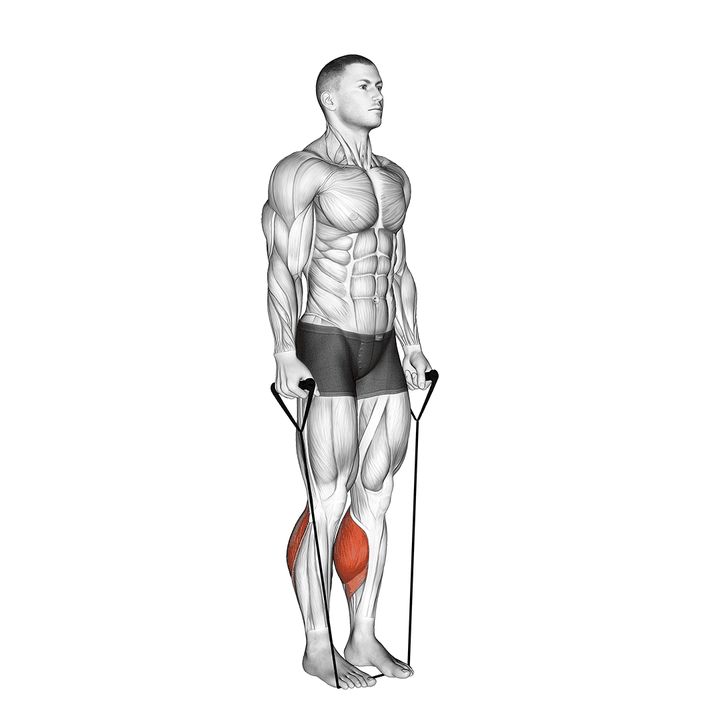 Demonstration of the band two legs calf raise - (band under both legs)