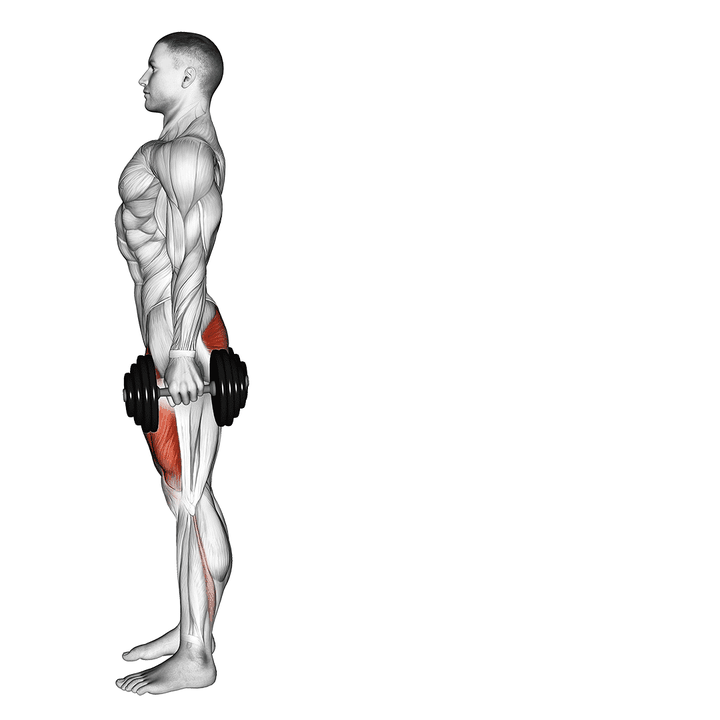 Demonstration of the dumbbell rear lunge