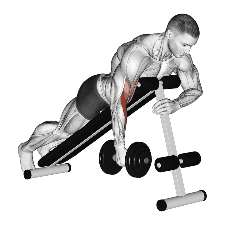 Demonstration of the dumbbell one arm prone hammer curl