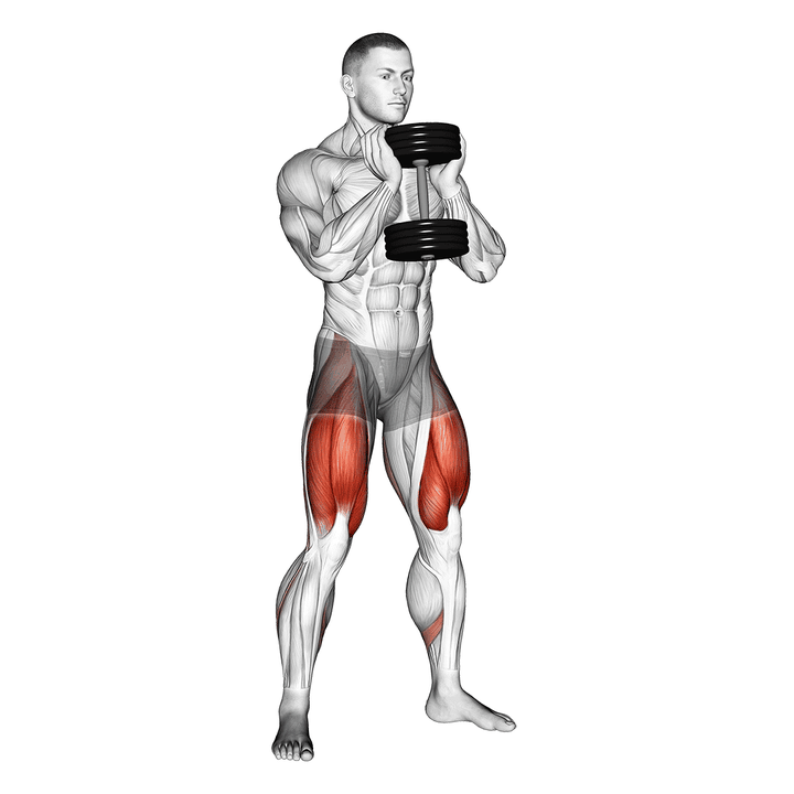 Demonstration of the dumbbell goblet squat