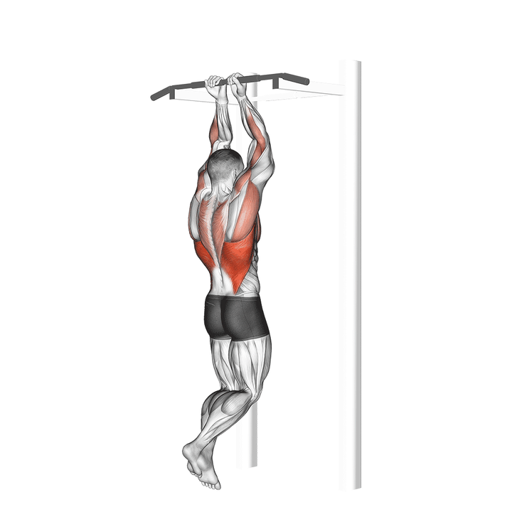 Demonstration of the close grip chin-up