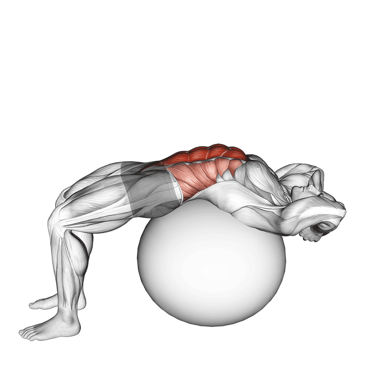 Demonstration of the stability ball crunch (full range hands behind head)