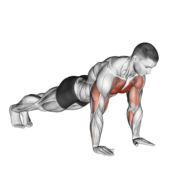 Demonstration of the plyo push up