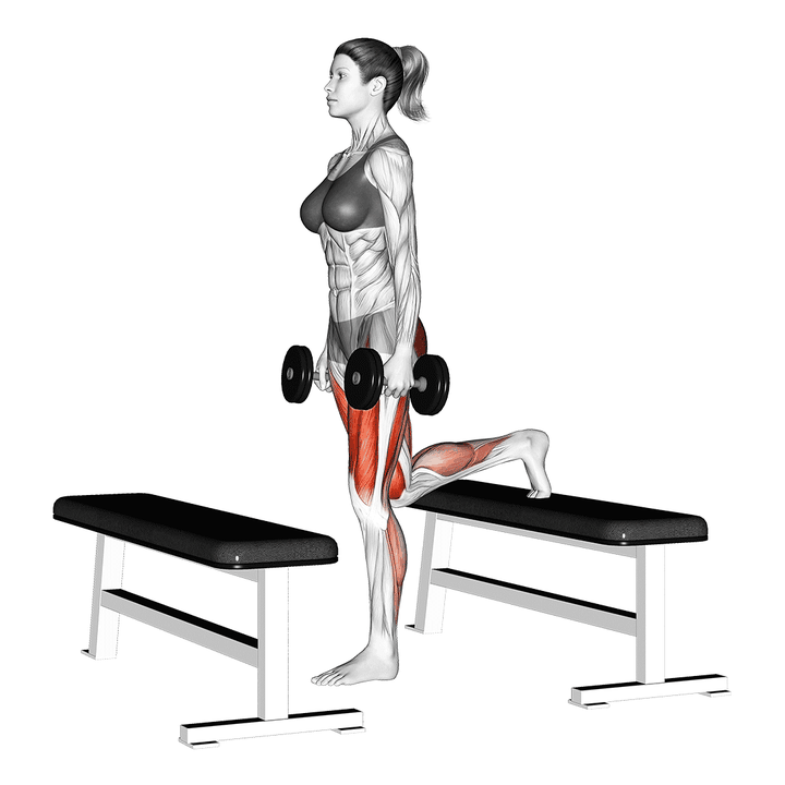 Demonstration of the dumbbell step-up lunge