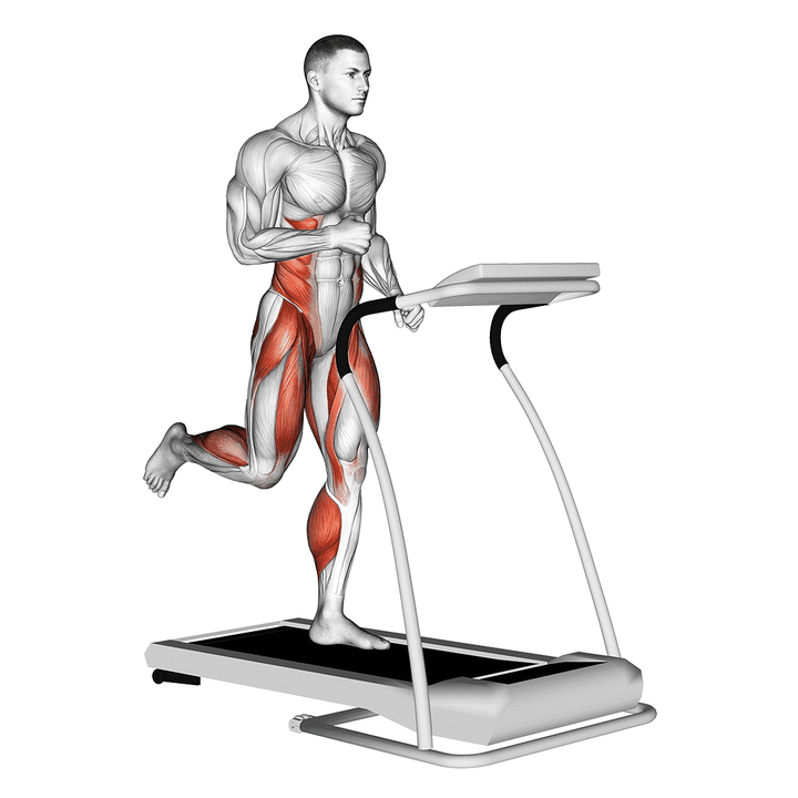 Demonstration of the run (equipment)