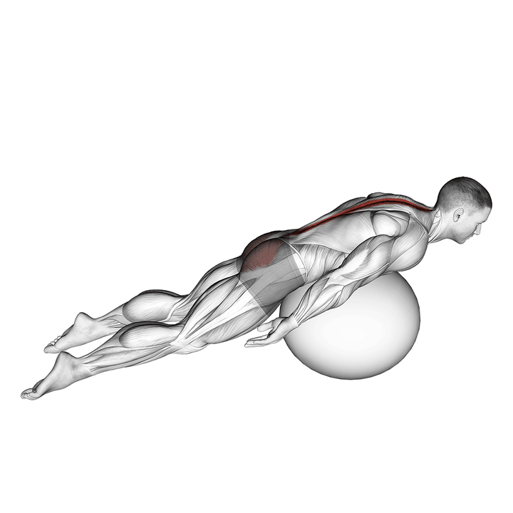 Demonstration of the exercise ball back extension with knees off ground
