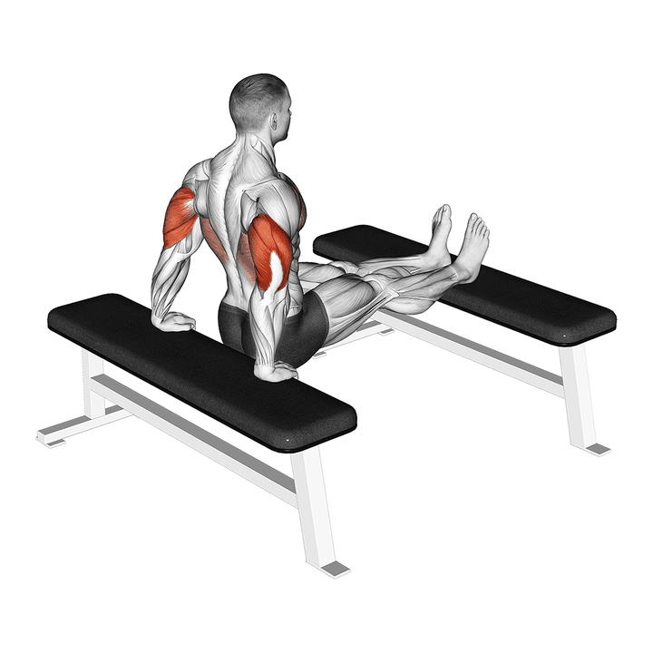 Demonstration of the triceps dip (bench leg) - static variation