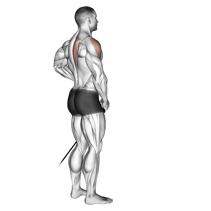 Demonstration of the band front lateral raise