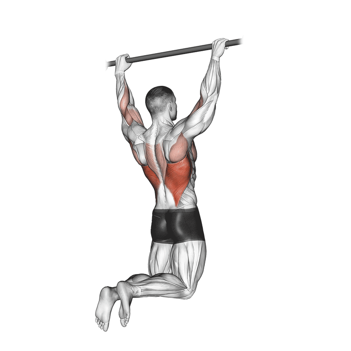 Demonstration of the rear pull-up